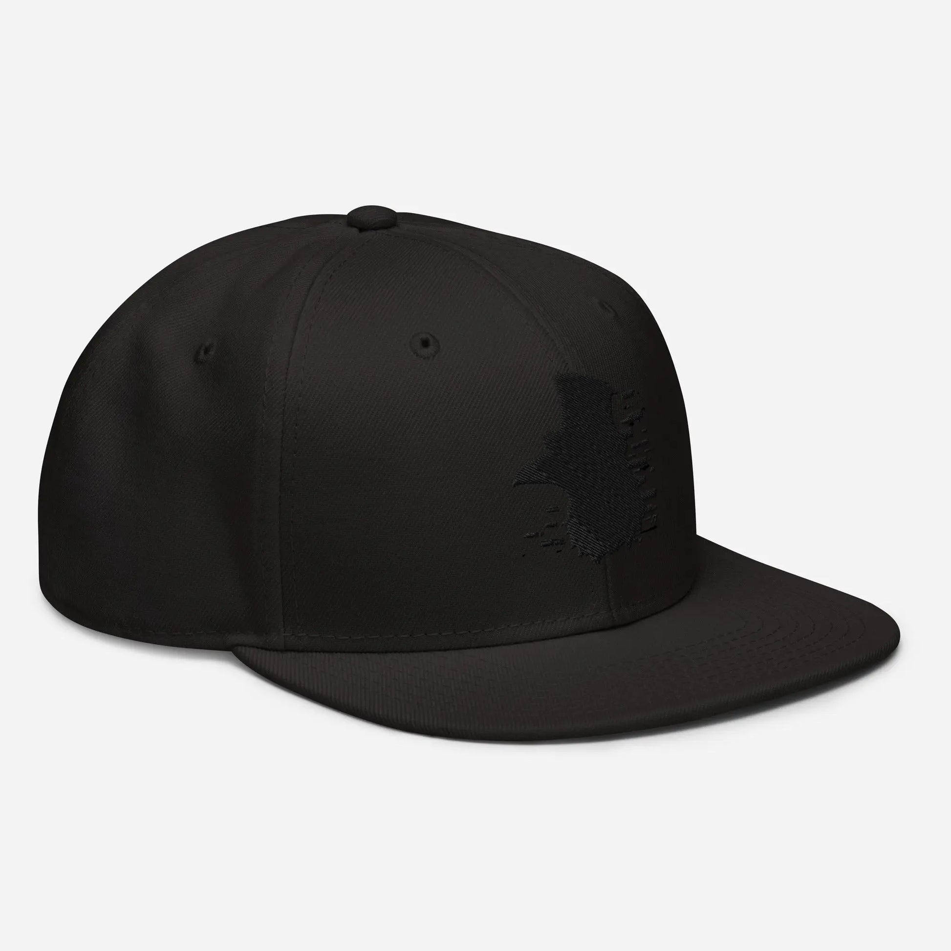 Crow and Hat Embroidered Snapback Cap (Unisex) Westminster Vault